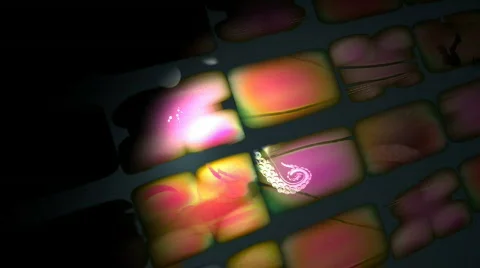 Pink tv wall Stock Footage 582689