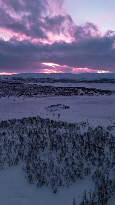 Pink Twilight Over Snowy Forest and Frozen Lake Landscape 動画素材 334769147