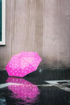 Pink umbrella Stock Photos