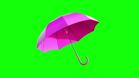 Pink Umbrella Rotating On Green Screen. Weather Forecast. Vídeos de archivo 277471832