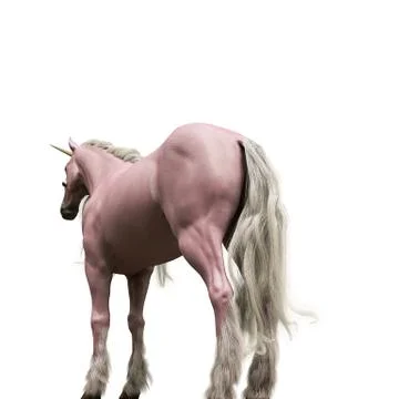 Pink unicorn Stock Illustration
