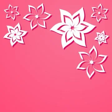Pink vector background with beautiful white flowers イラスト素材