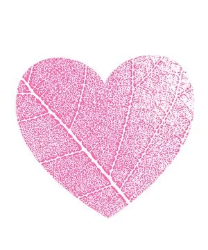 Pink vector icon with heart shape and two leaves. Stock Illustration