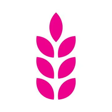 Pink vector wheat solid icon isolated on white background Stock Illustration