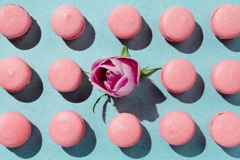 Pink vegan macaroons and rose bud knolled on pastel background Stock Photos