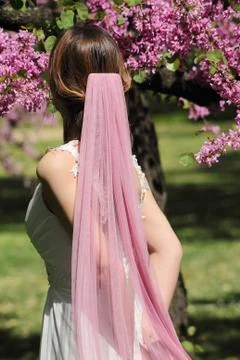 Pink veil Stock Photos