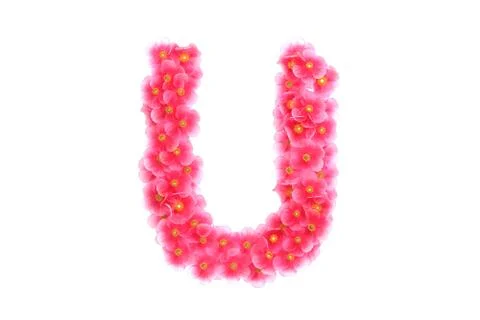 Pink violets letter U Illustrazione stock