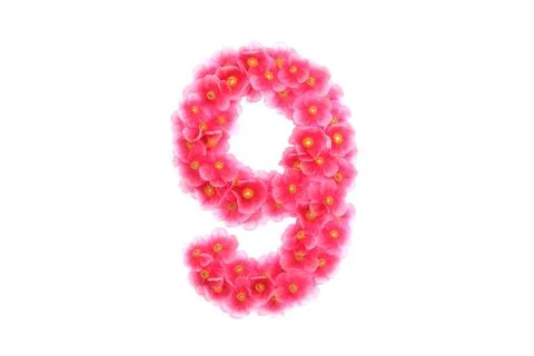 Pink violets symbol 9 Stock Illustration