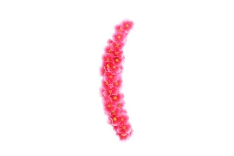 Pink violets symbol ( Stock Illustration