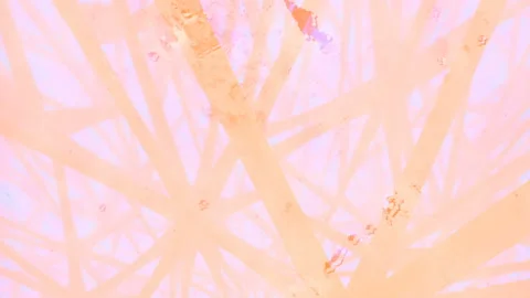 Pink volumetric light passes through a moving structure 3d render loop animation Stock Footage 212315717