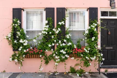 Pink Wall with Flower Boxes Fotos de archivo