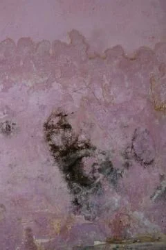 The pink wall surface is covered with moss and fungus. Photos