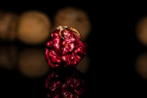 Pink walnut kernel on a dark reflective table. Black background Stock Photos
