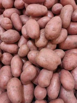 Pink washed potatoes Stock Photos