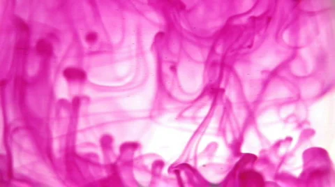 Pink in Water 4 Stock Footage 473980