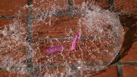 Pink Water Balloon Exploding When Hitting Floor Super Slow Motion Video stock 71360820