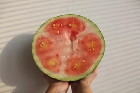 Pink watermelon Stock Photos