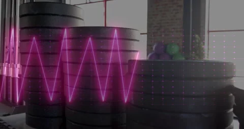 Pink waveform and grid animation over stacked weight plates in gym Stock Footage 304768037