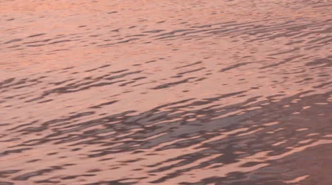 Pink waves Video stock 26361887