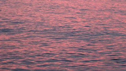 Pink Waves at Sunrise 库存影片 243239274