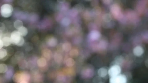 Pink &amp; White Blurry Background Stock Footage 39909812