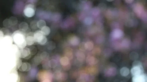 Pink &amp; White Blurry Background Stock Footage 39910139