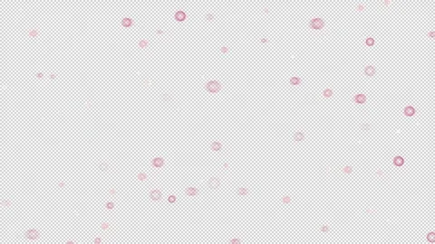 Pink white bubbles floating on transparent background for overlay Stockbeeldmateriaal 335050047