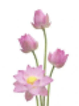 Pink wildflowers cross stitch pattern isolated on white Stock Illustration