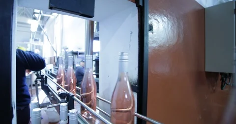 Pink wine bottles going through band towards packaging 스톡 동영상 94912234