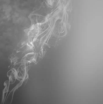 Pink wipe smoke cloud. Abstract mystic freeze motion diffusion background 库存照片