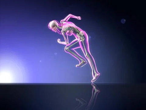 Pink X-ray of woman's skeleton running on dark blue reflective background Stockillustratie