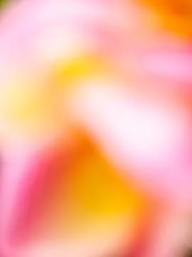 Pink, yellow, abstract background Stock Photos