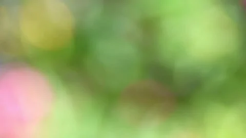 Pink Yellow and Light Green Plant Background Video with Copy Space,4K 库存影片 343547698