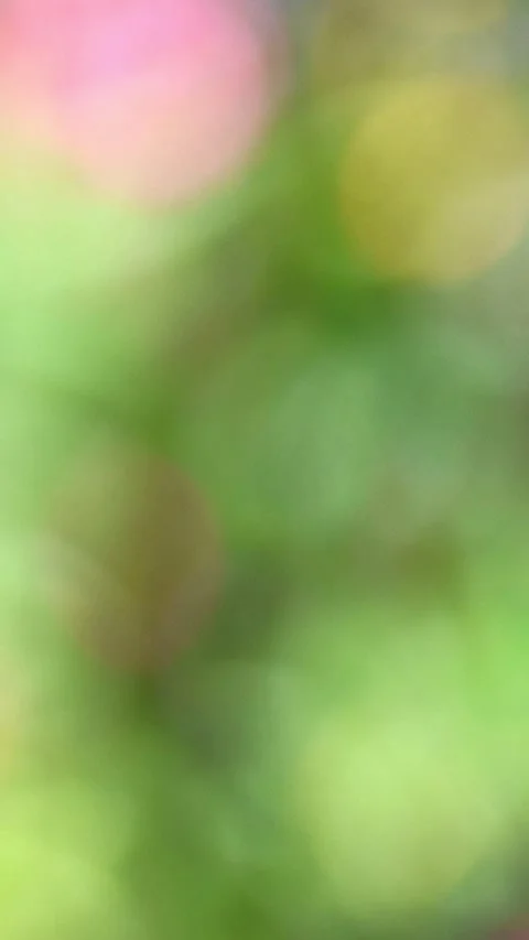 Pink Yellow and Light Green Plant Background Video with Copy Space,Vertical Stock Footage 343547973