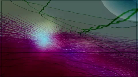 Pinkish Algae Stock Footage 247256506