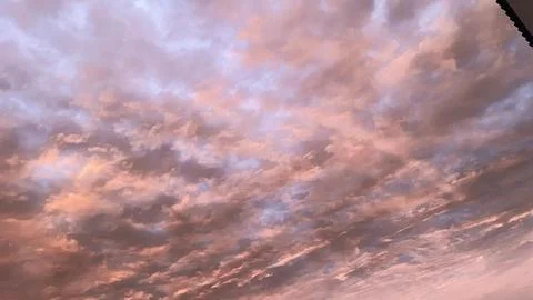 Pinkish sky at dawn Stock Photos