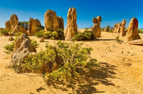 The Pinnacles are limestone formations within Nambung National Park, near t.. Foto stock