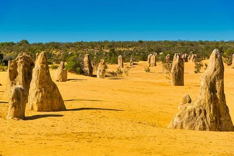 The Pinnacles are limestone formations within Nambung National Park, near t.. Stock Photos