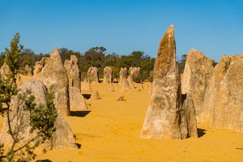 The Pinnacles are limestone formations within Nambung National Park, near t.. Stock Photos