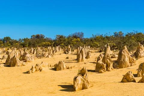 The Pinnacles are limestone formations within Nambung National Park, near t.. Stock Photos