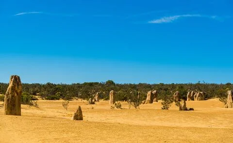 The Pinnacles are limestone formations within Nambung National Park, near t.. Foto stock