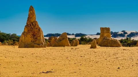 The Pinnacles are limestone formations within Nambung National Park, near t.. Foto stock