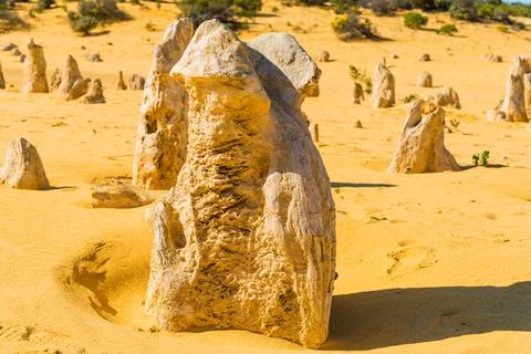 The Pinnacles are limestone formations within Nambung National Park, near t.. Foto stock