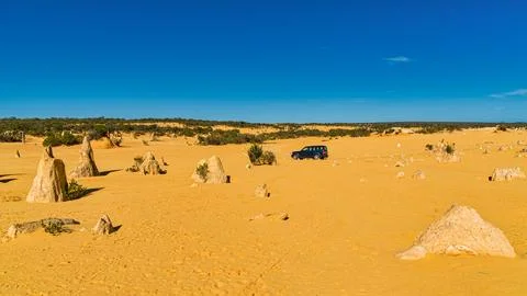 The Pinnacles are limestone formations within Nambung National Park, near t.. Foto stock
