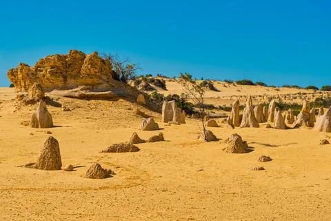 The Pinnacles are limestone formations within Nambung National Park, near t.. Foto stock