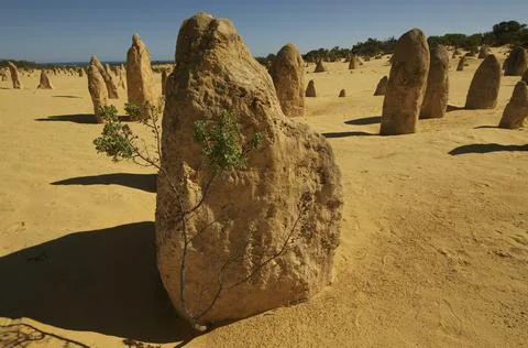 Pinnacles Desert 10 Foto stock