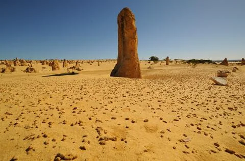Pinnacles Desert 13 Stock Photos