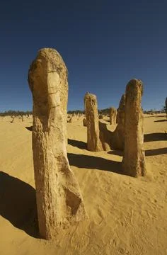 Pinnacles Desert 14 Stock Photos