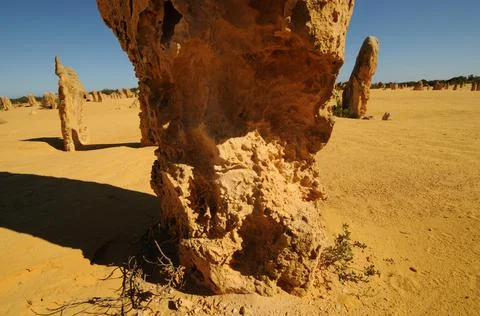 Pinnacles Desert 18 Stock Photos
