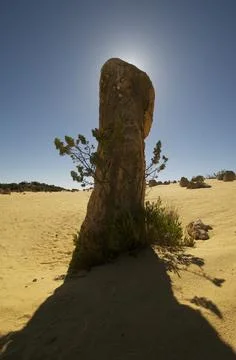 Pinnacles Desert 8 Stock Photos